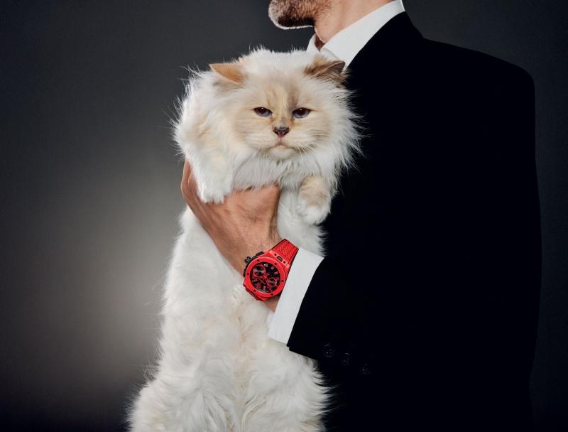 franchelippee キャット cat アニマル 動物 猫 人気 ロング 世界で最も有名なネコ、シュペットが ウブロの「ビッグ・バン」20周年
