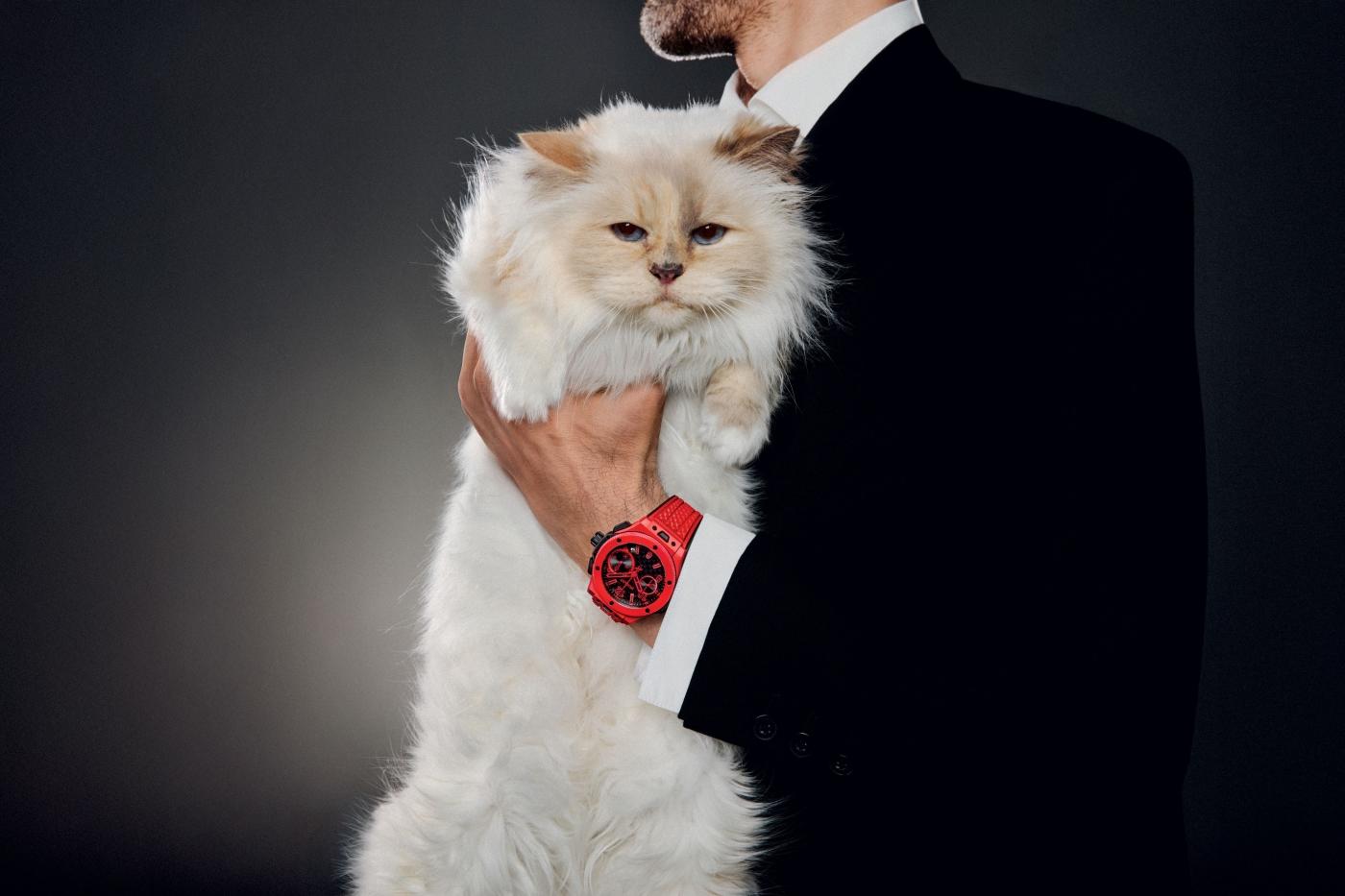 THE WORLD'S MOST FAMOUS AND PAMPERED FELINE CHOUPETTE STARS IN